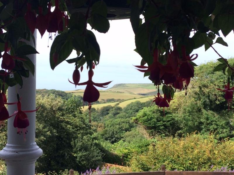 Boscastle House image
