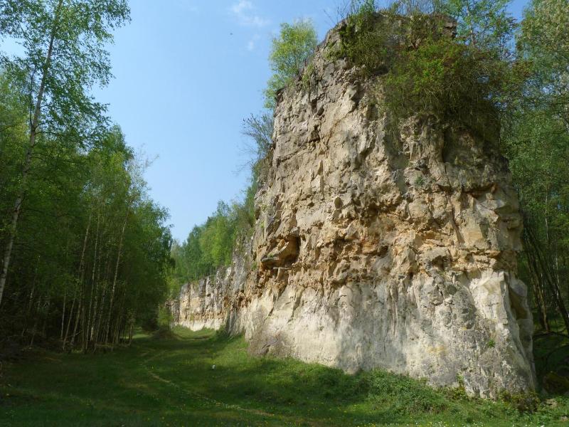 Hotel Bergrust image
