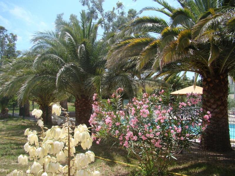 Tropic Hotel image