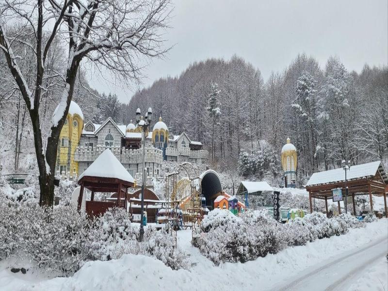 Korea Quality Elf Resort Hotel