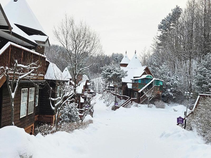 Korea Quality Elf Resort Hotel