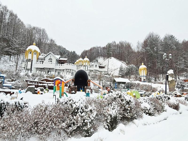 Korea Quality Elf Resort Hotel
