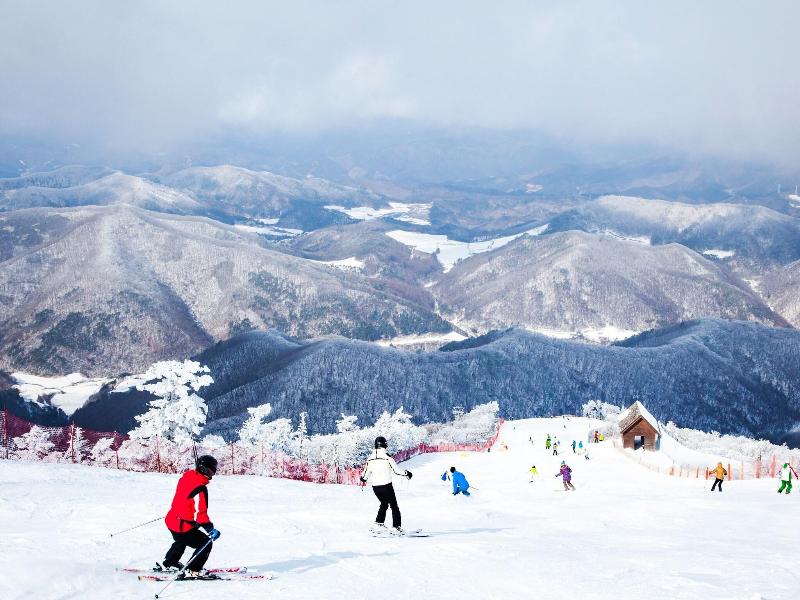 Korea Quality Elf Resort Hotel — photo 6