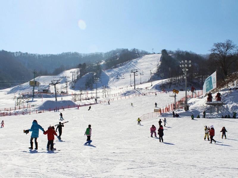 Korea Quality Elf Resort Hotel