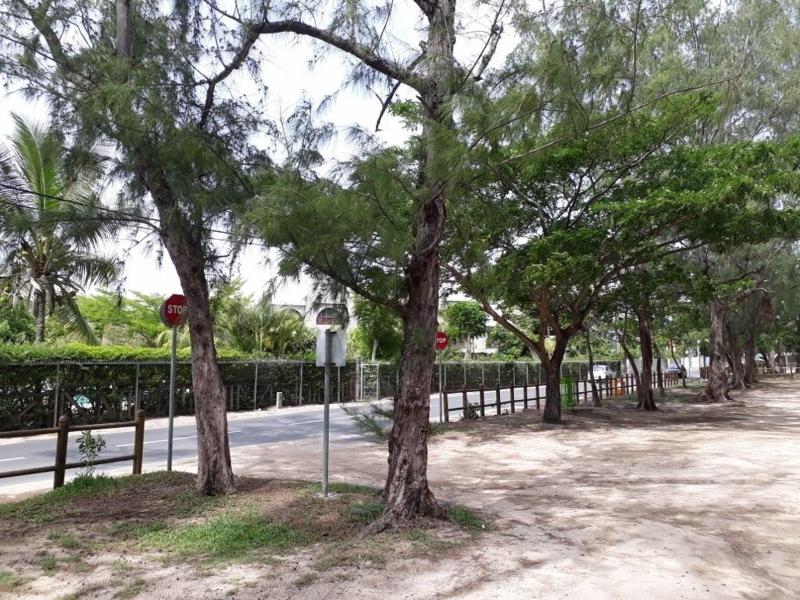 Allamanda Studios And Apartments image