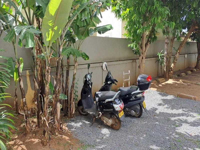 Allamanda Studios And Apartments image