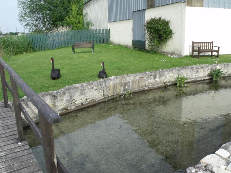 Chambre D Hotes Les Cygnes Noirs image