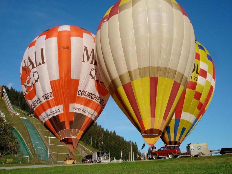 Residence La Foret Du Praz image
