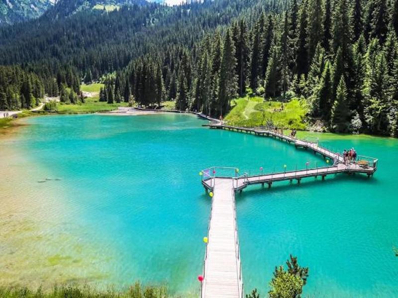 Residence La Foret Du Praz image