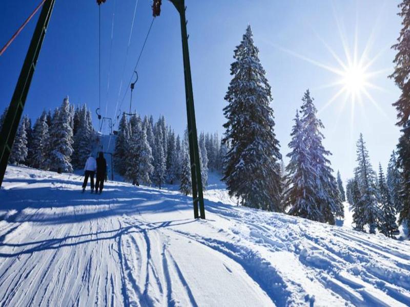 Residence La Foret Du Praz image