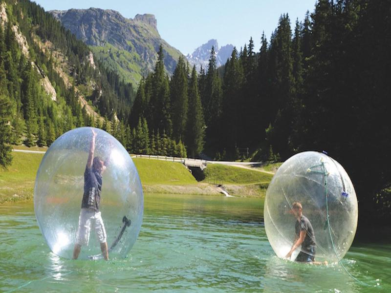 Residence La Foret Du Praz image