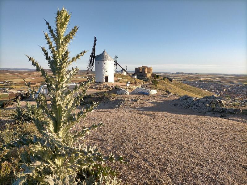 Azafra N Consuegra Casa Rural