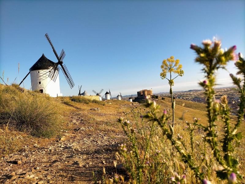 Azafra N Consuegra Casa Rural
