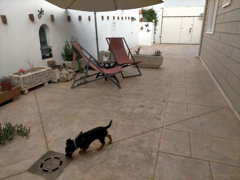 Azafra N Consuegra Casa Rural
