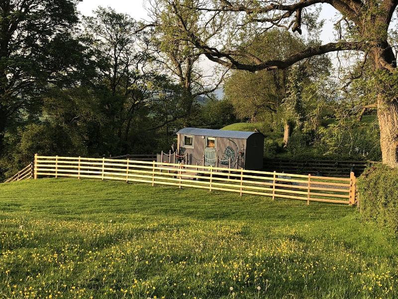 The Shepherds Hut At Hafoty Boeth image