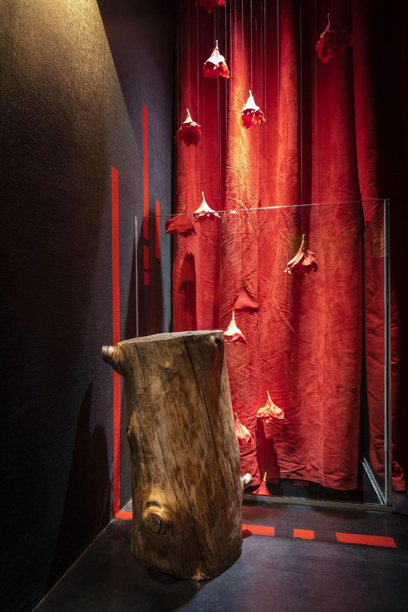 Zrooms Suites Hostel Boutique image
