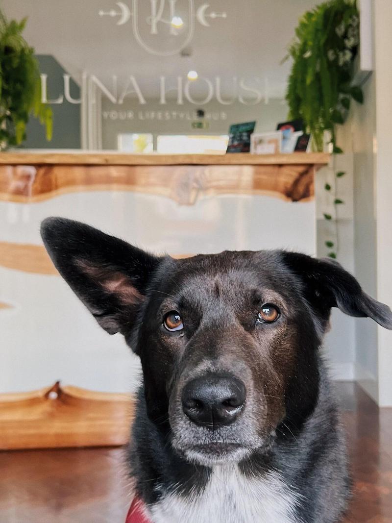 Luna House image