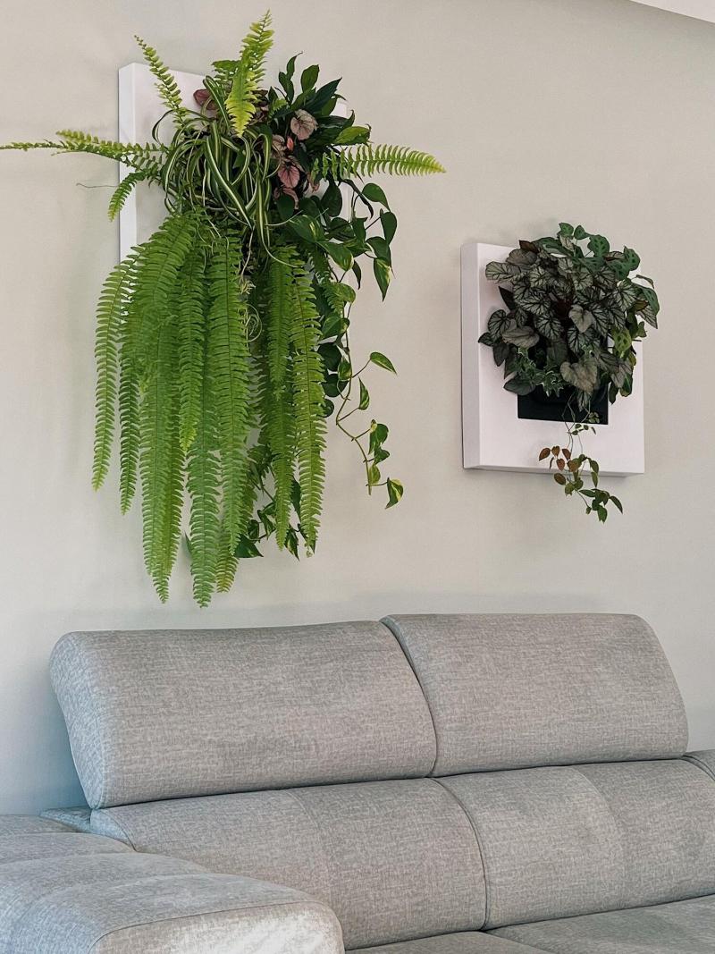 Luna House image