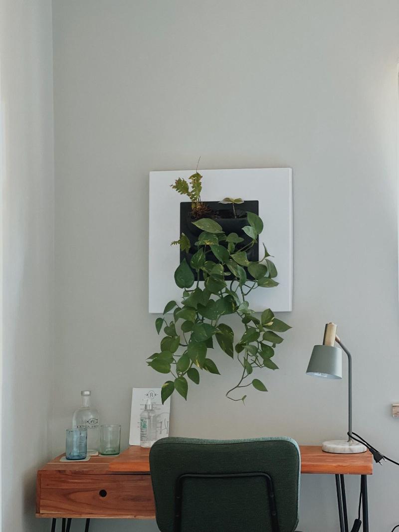Luna House image