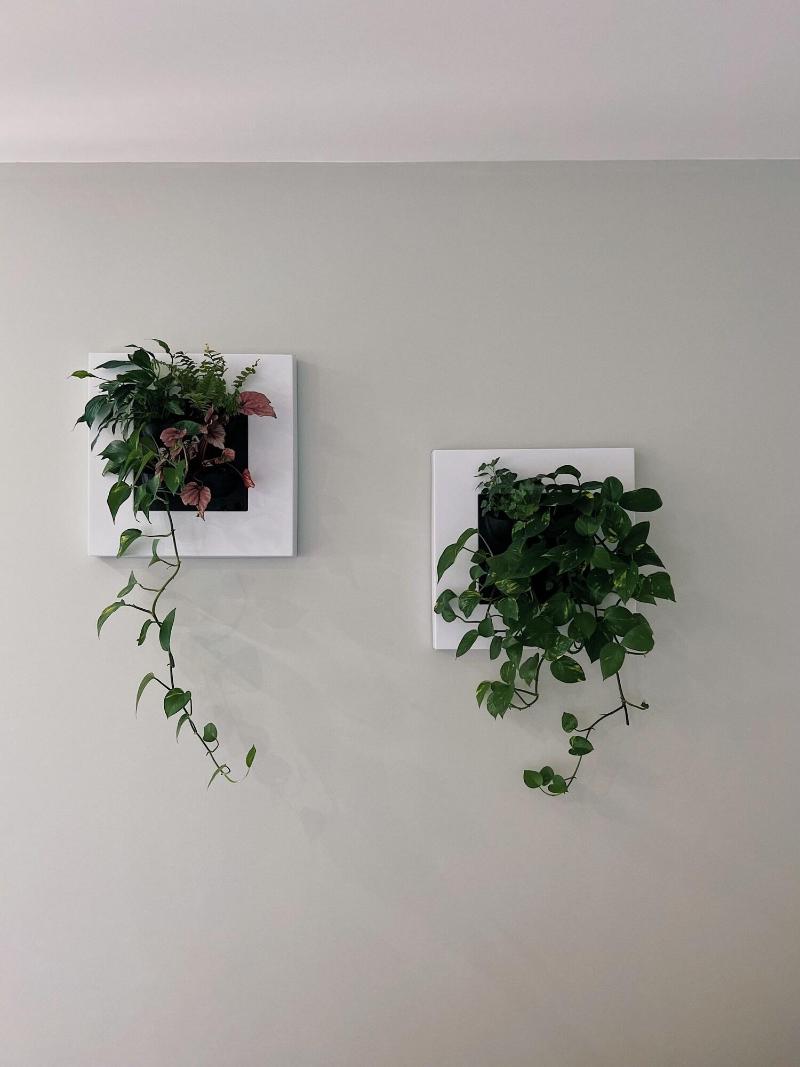 Luna House image