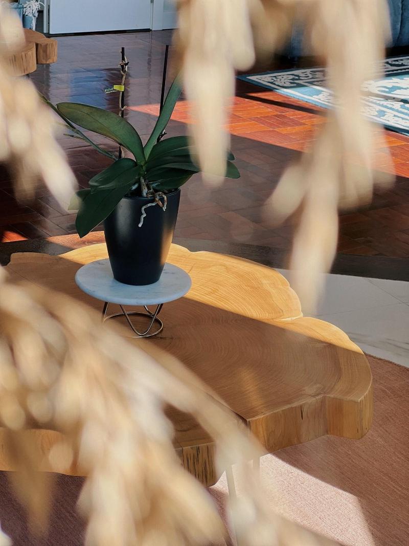 Luna House image