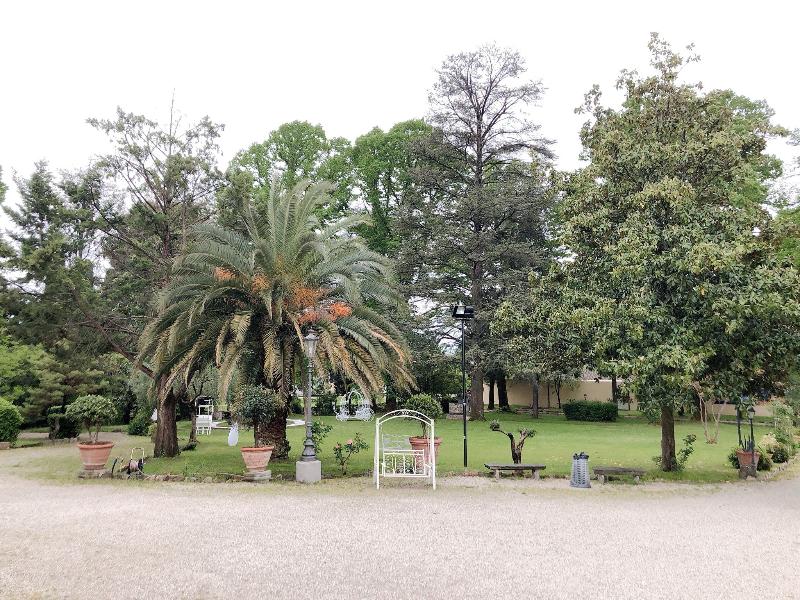 Fantastic Garden image