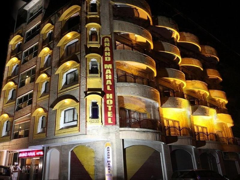 Anand Palace Hotel image