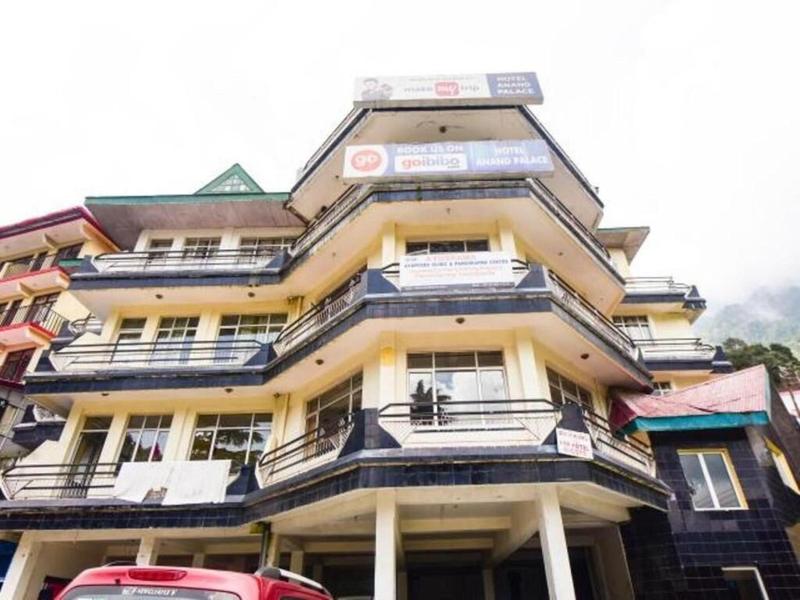 Anand Palace Hotel image