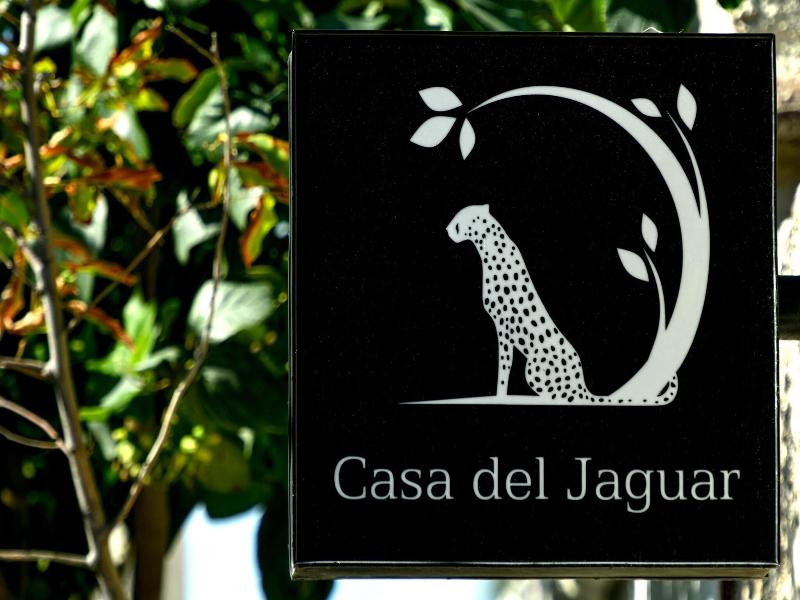 Casa Del Jaguar image