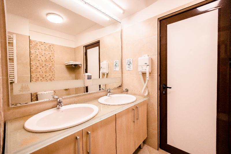 Hotel Cindrel Paltinis image