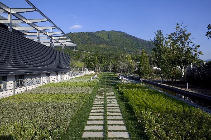 Borgo San Gregorio image