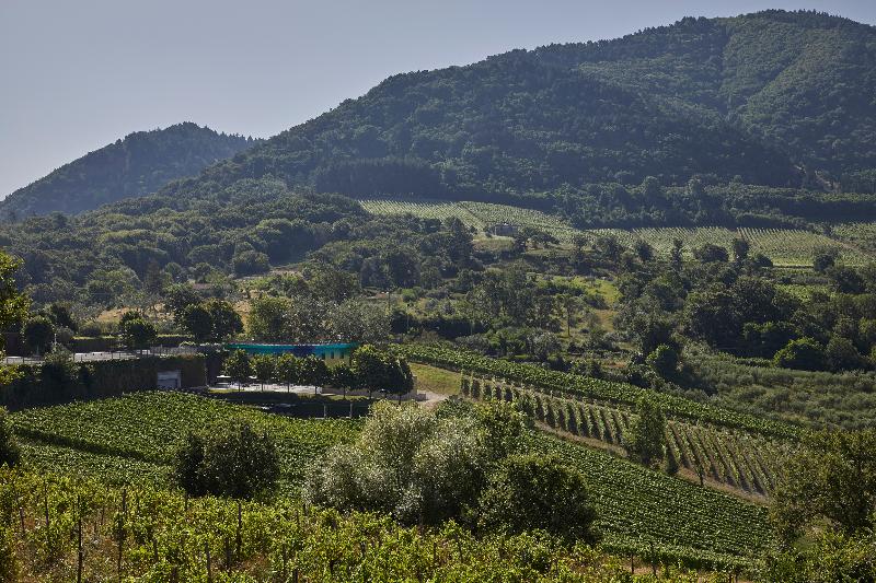 Borgo San Gregorio image