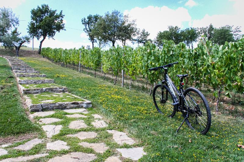 Borgo San Gregorio image