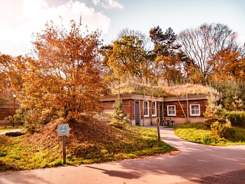 Vakantiepark Loonsche Land Tickets included image