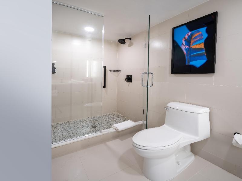 Hilton Garden Inn San Juan Condado image