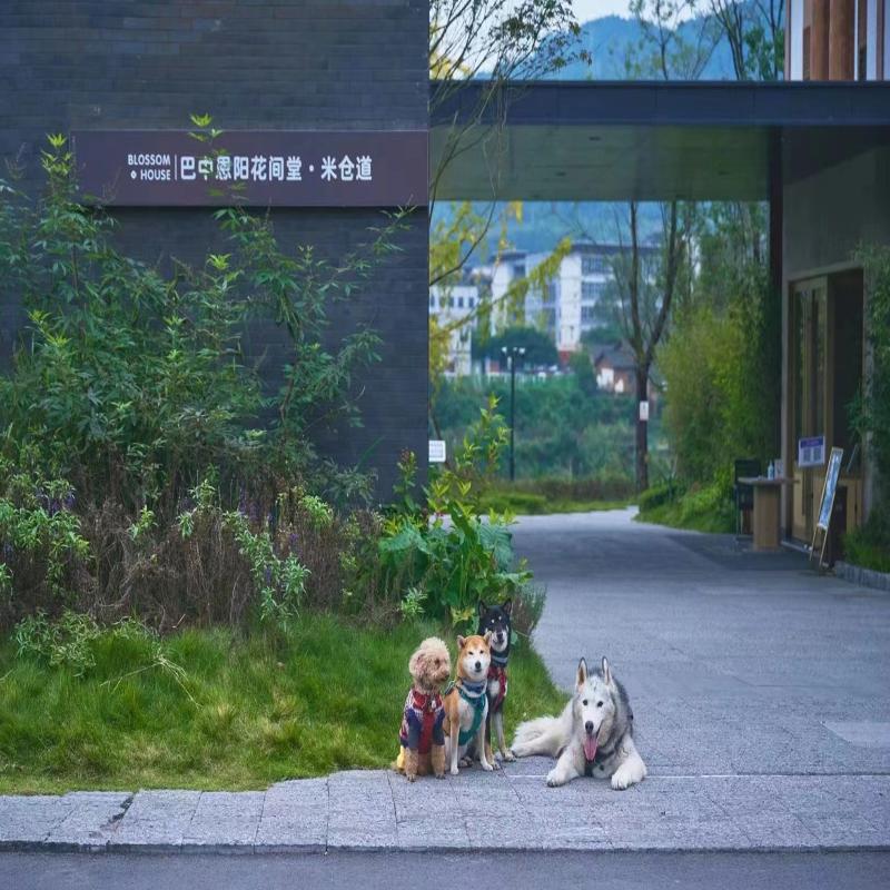 Blossom Hill Hotel Bazhong Enyang image