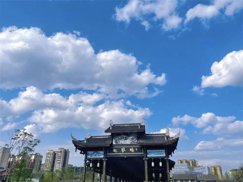 Blossom Hill Hotel Bazhong Enyang image