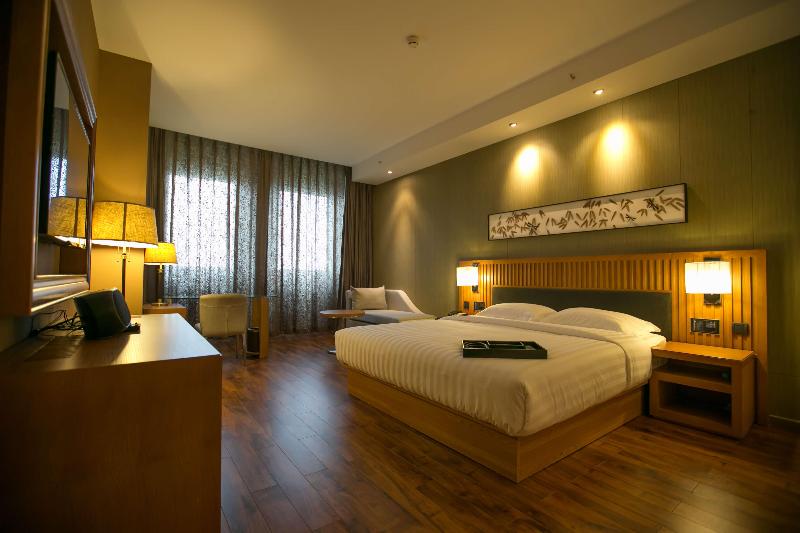 Crystal Orange Hotel Nanjing Olympic Sports Center 4