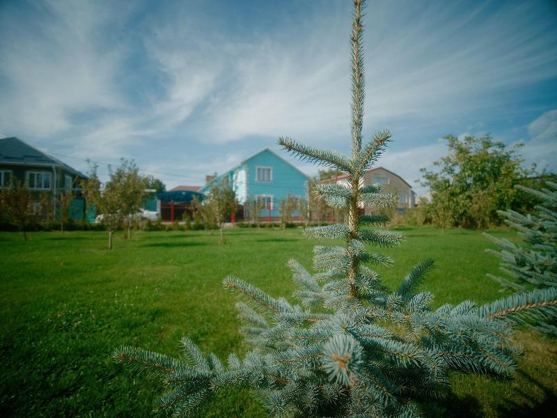Guesthouse Alakol