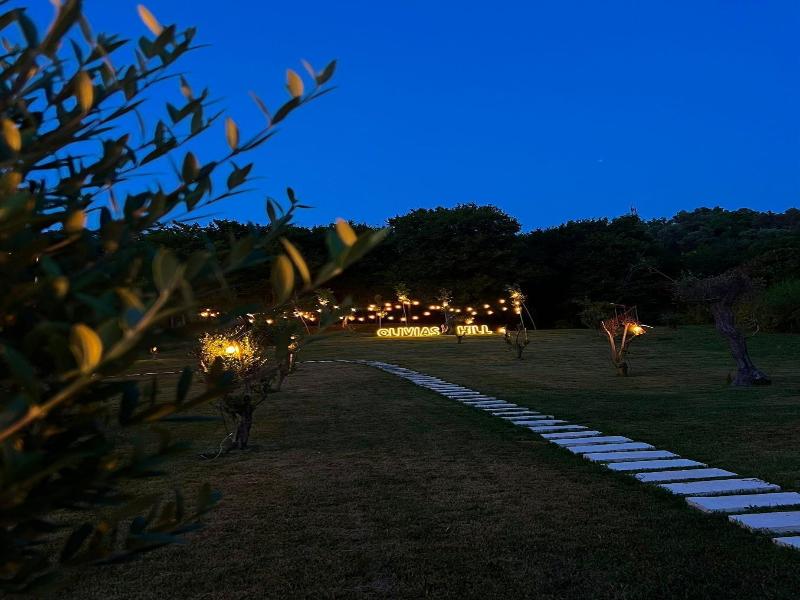 Padel Olivia's Hill Resort image