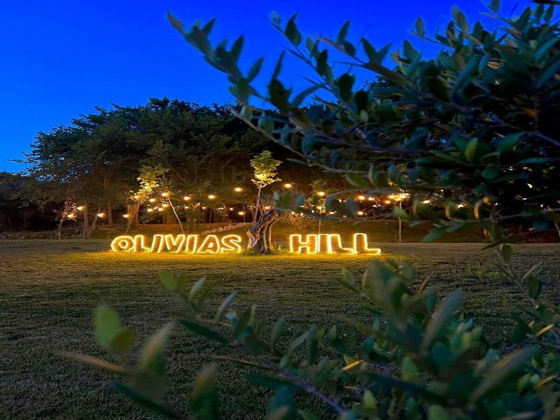 Padel Olivia's Hill Resort image