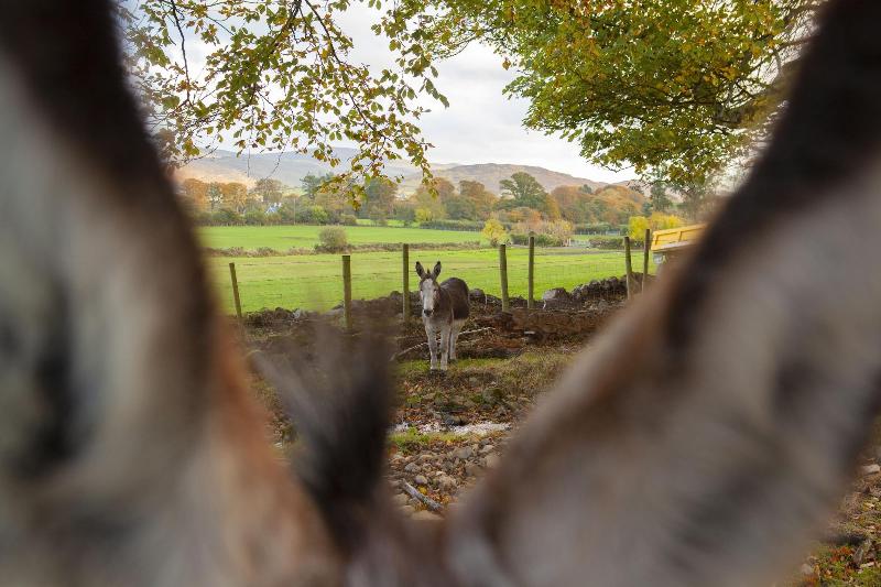 Killeavy Castle Estate image