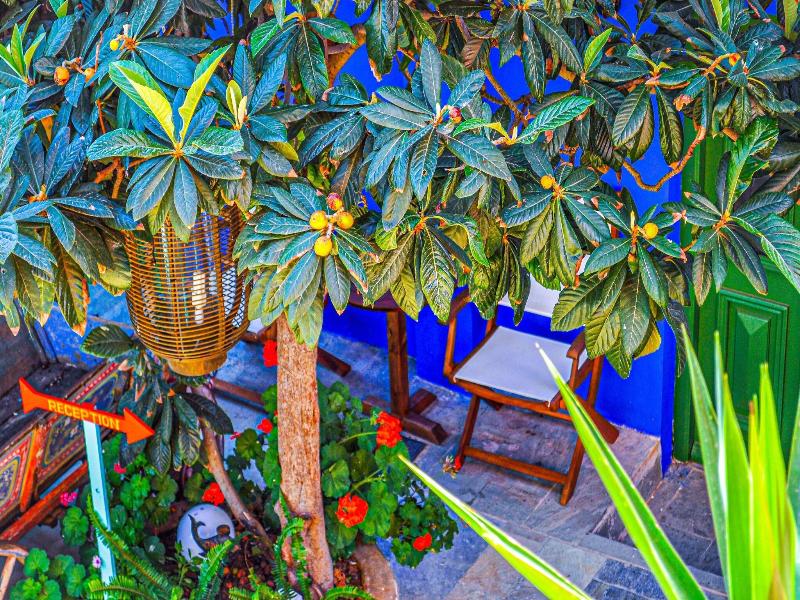 Symi Garden Studios image