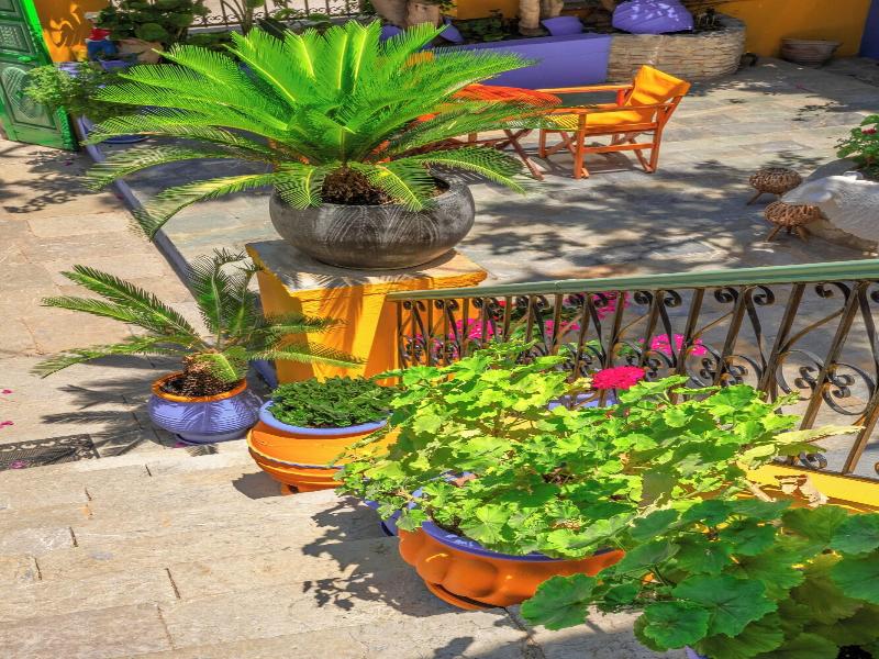 Symi Garden Studios image