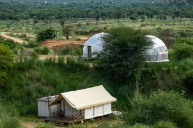 Teela - The Glamping Resort — photo 2