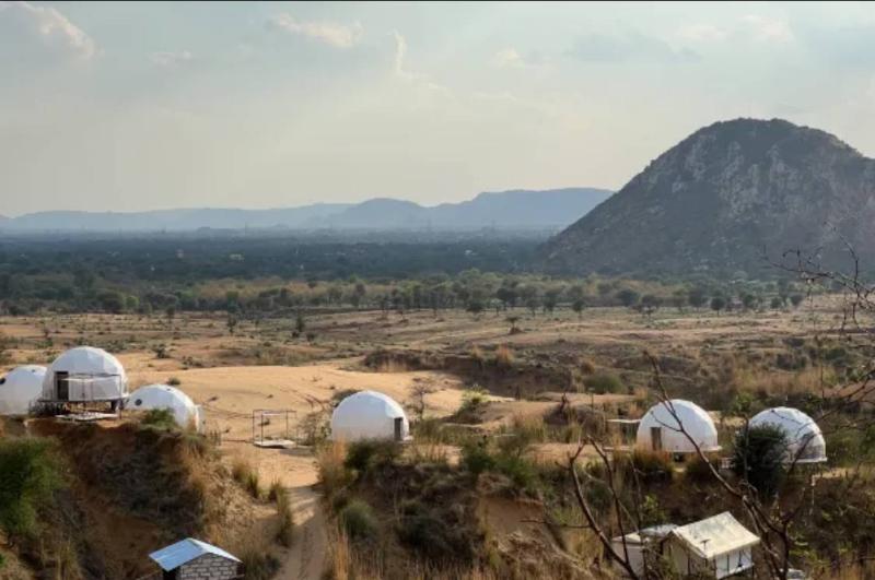 Teela - The Glamping Resort — photo 3