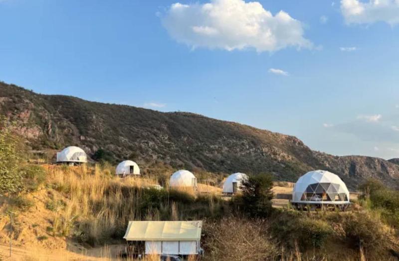 Teela - The Glamping Resort — photo 4