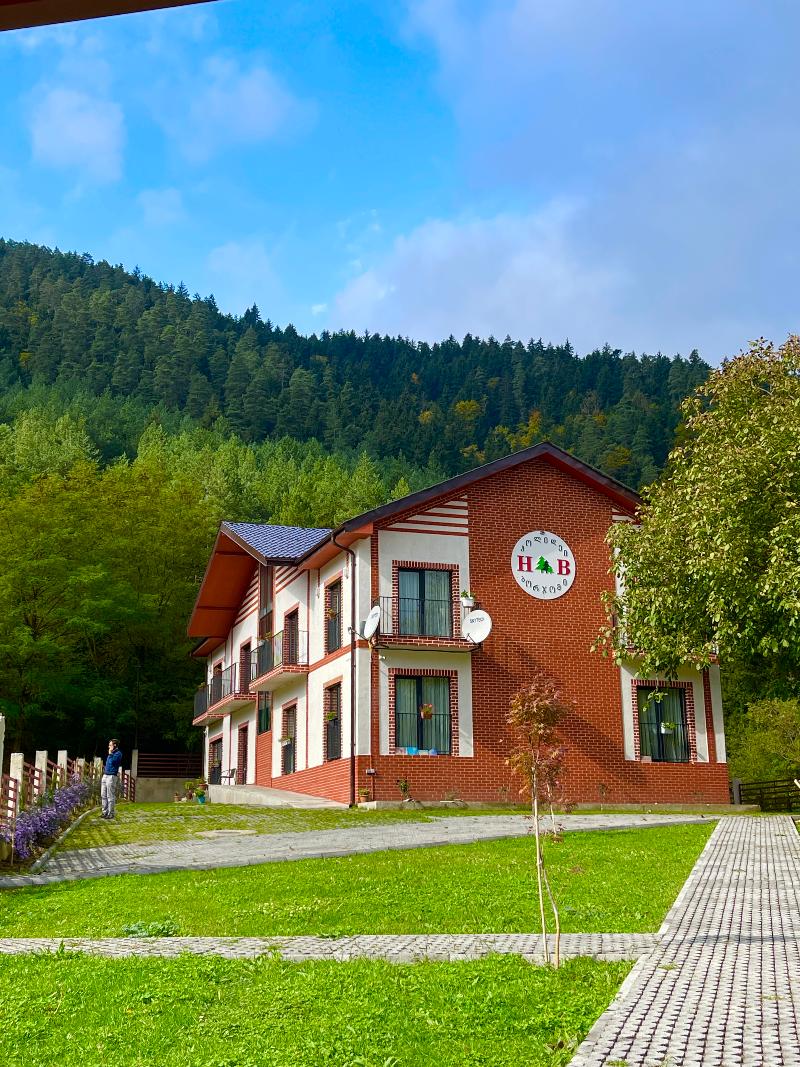 Holiday Borjomi image