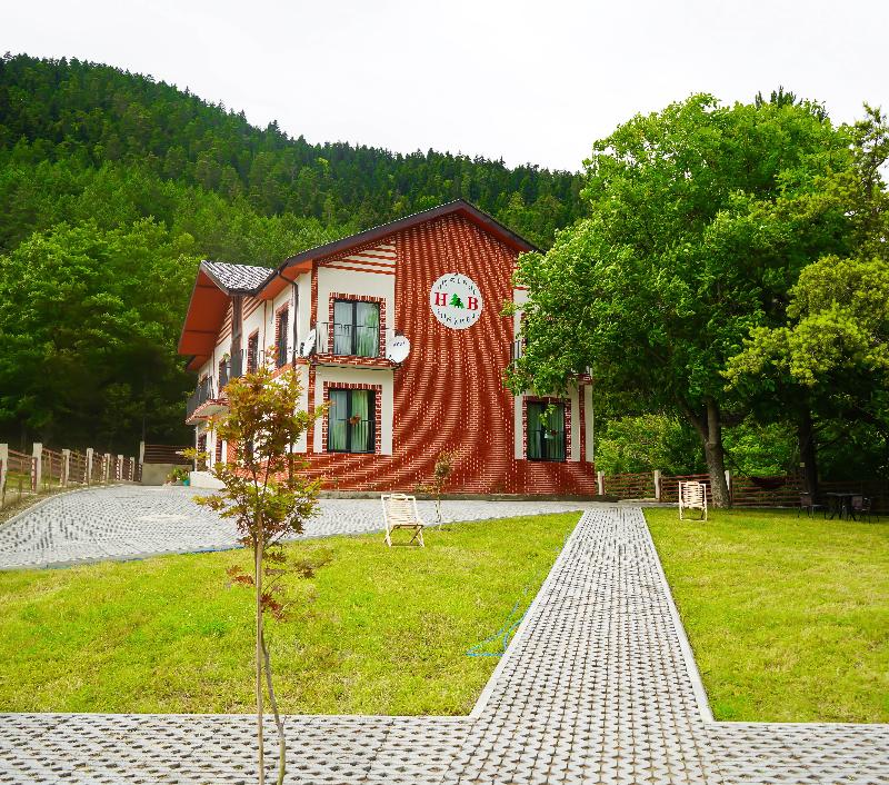 Holiday Borjomi image