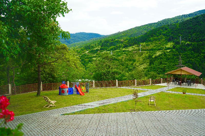 Holiday Borjomi image